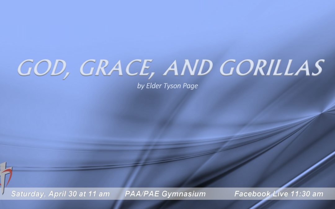 Sabbath, April 30, 2022 PAC Worship Service – God, Grace, and Gorillas by Tyson Page